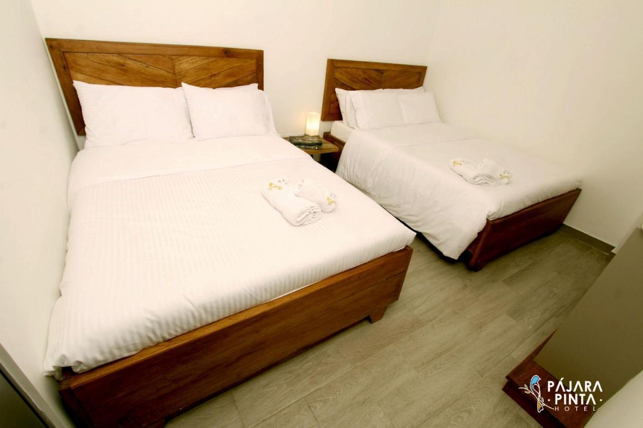 Hotel Pajara Pinta Cali Extérieur photo